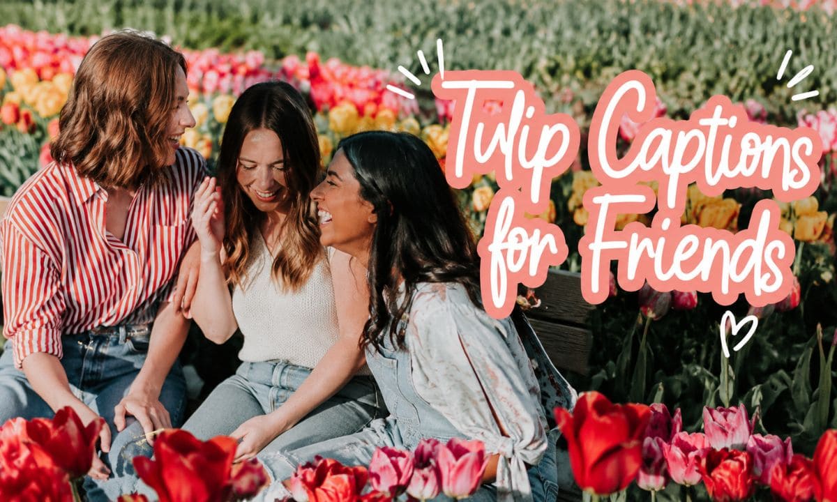 Tulip Captions for Friends